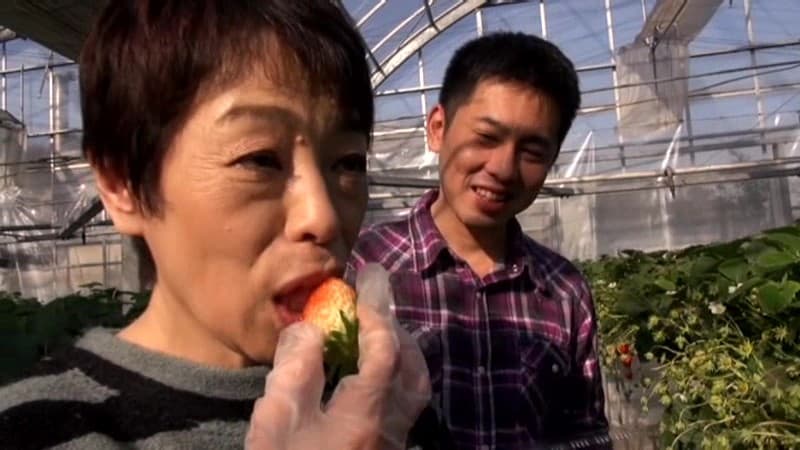 全国熟女捜索隊甘酸っぱい果汁のような潮を噴くイチゴ農園の五十路オトメ 関根和子