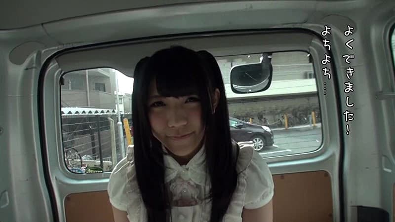 1人っ子の僕は子猫のように甘えて一緒におもちゃで遊んでくれる妹がどうしても欲しかった！「兄妹ごっこ」2パイパンロリっ娘ほのかちゃんを捕まえて、からだの隅々まで観察しました！！