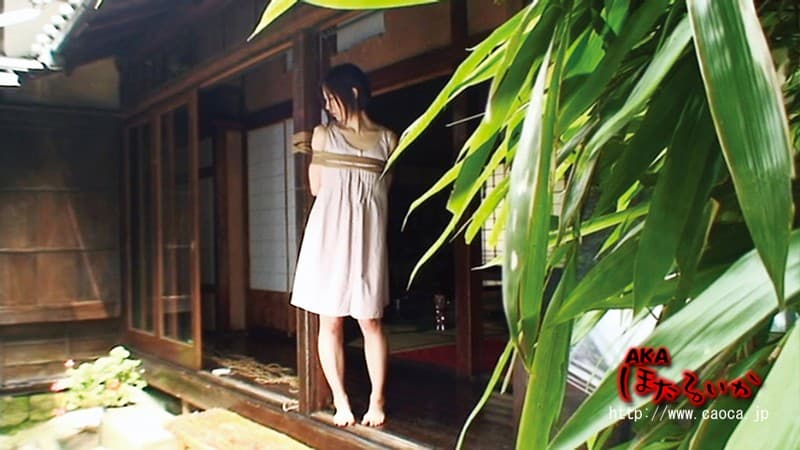 雪村春樹名作集 参