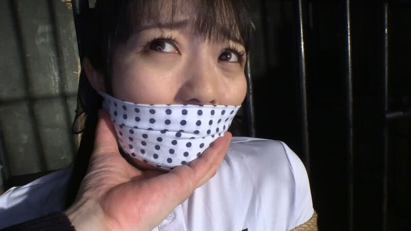 囚われの緊縛令嬢 DIDコレクション3