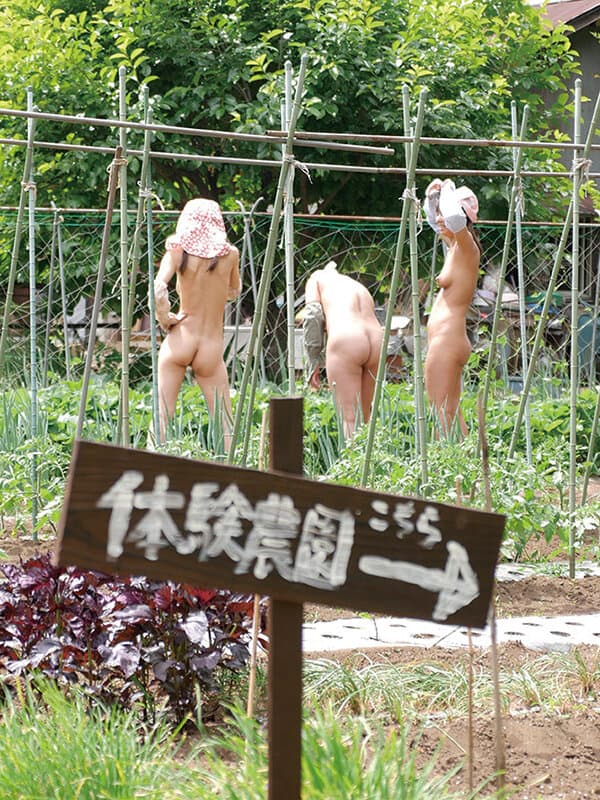 スッポンポンで農作業をするおばちゃんが居るという噂の農家に行ってきた！そこは青姦やり放題の楽園だった！