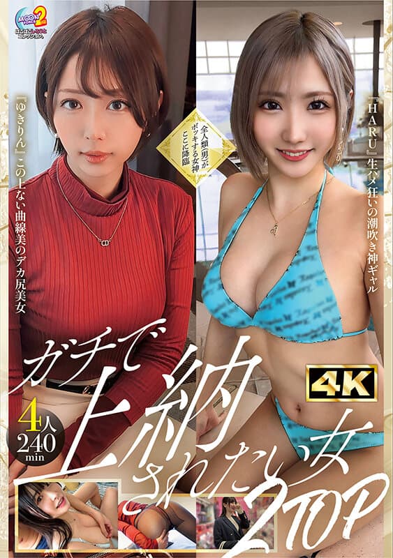 MOON FORCE 2nd ぱこぱこしろうとコレクション。 vol.17