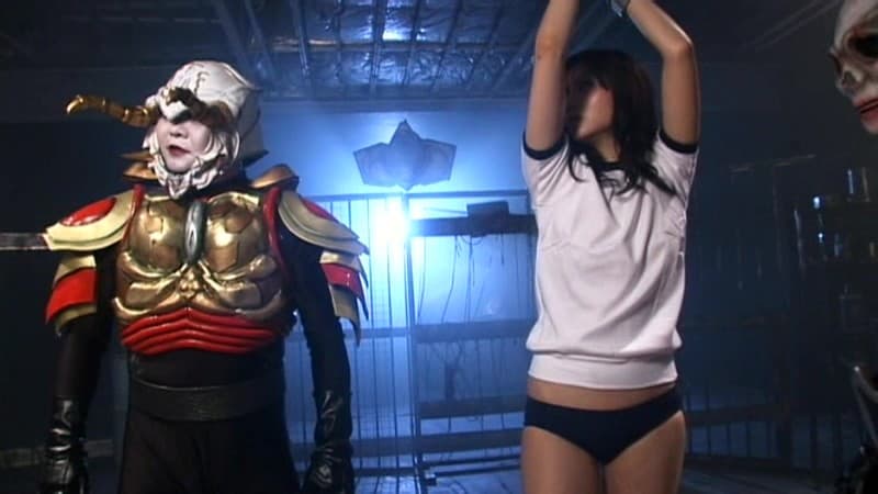 未来忍者隊ファイバード スワンファイター