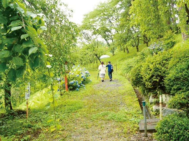 高齢の義母とラブホテルに泊まる羽目になりまして… 松原さゆり