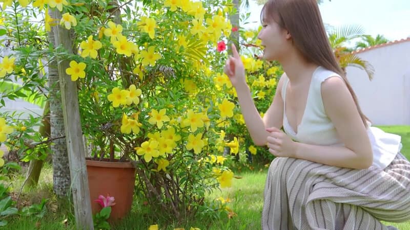 Miru7 Shining Legend・miru