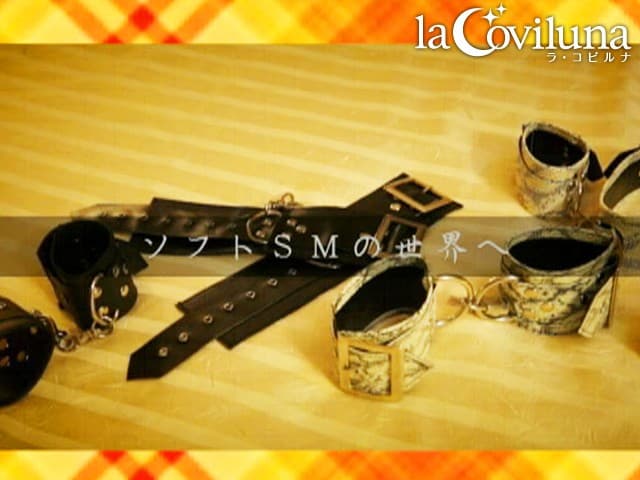 HOW？ soft sm 女子会で女同士のソフトSM体験