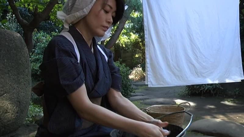 ヘンリー塚本 ニッポンのワイセツ映像 女中哀歌