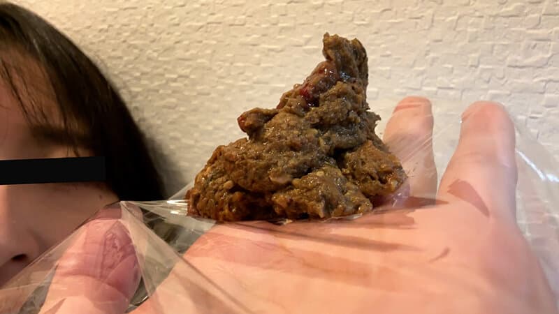 ウンコが出る日常 三浦はな