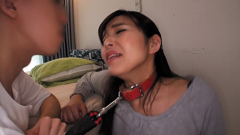 本当にあったエッチなお話53 8時間2枚組